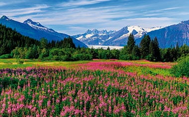 Snowcapped mountains and meadows in Juneau, Alaska